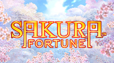 #5 Слот Sakura Fortune – Ең Сүйікті Тақырыптағы слот