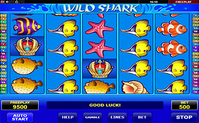 Riobet Қазақстандық Онлайн Казиносындағы Wild Shark Слоттық Ойыны